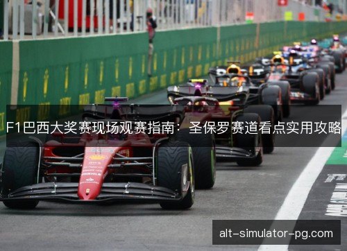 F1巴西大奖赛现场观赛指南：圣保罗赛道看点实用攻略